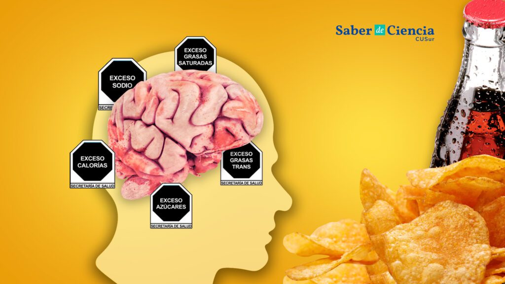 Tu Cerebro Bajo Los Efectos De Los Alimentos Ultraprocesados – Saber De ...