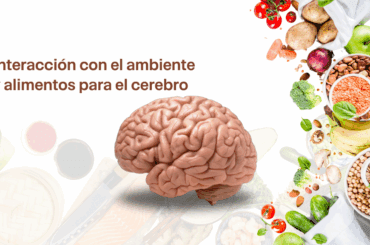 Interacción con el ambiente y alimentos para el cerebro