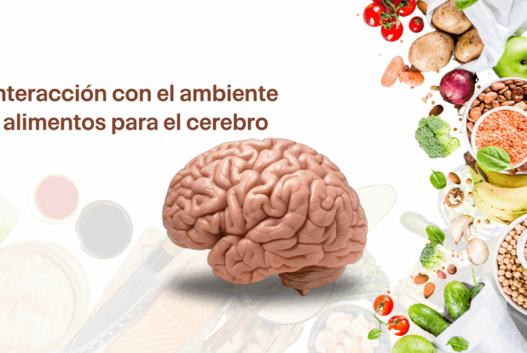 Interacción con el ambiente y alimentos para el cerebro