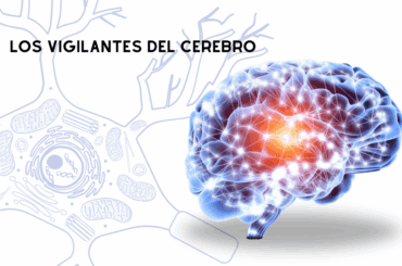 Los vigilantes del cerebro