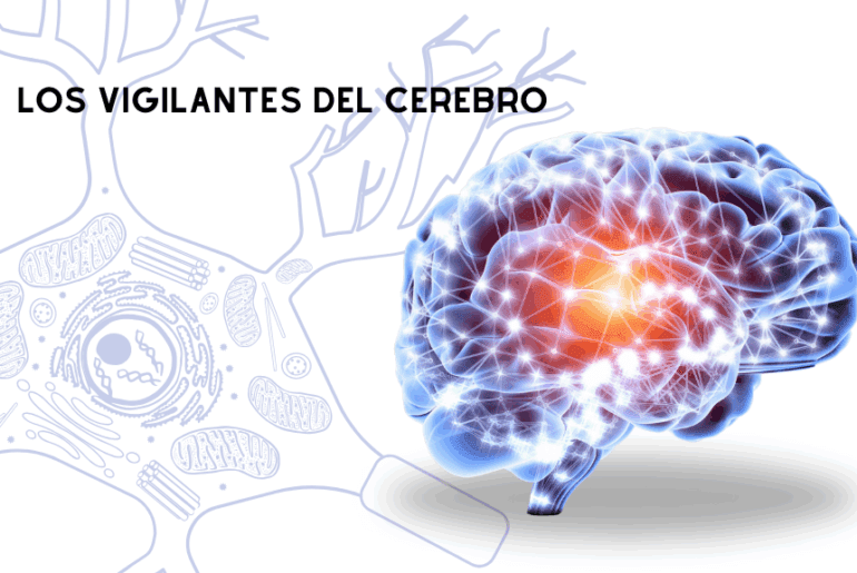 Los vigilantes del cerebro